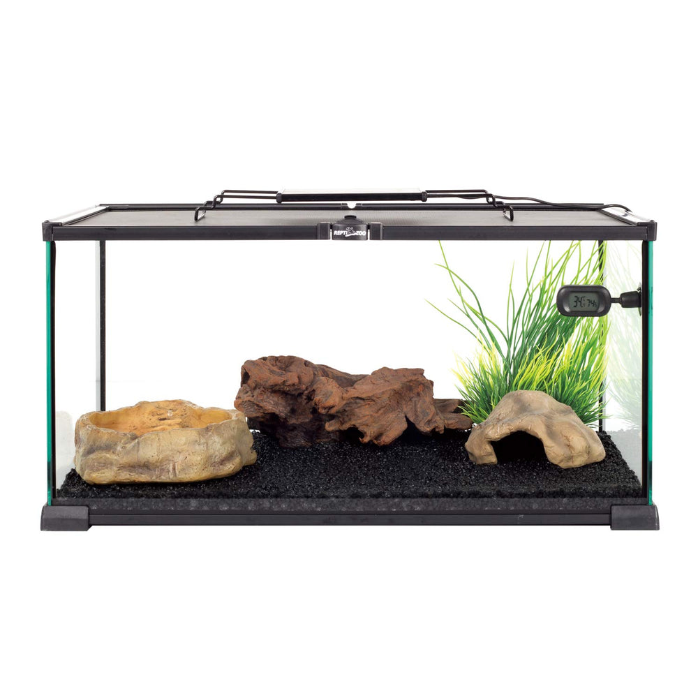 REPTIZOO bol d'eau 11x8, dimension adaptée au terrarium.