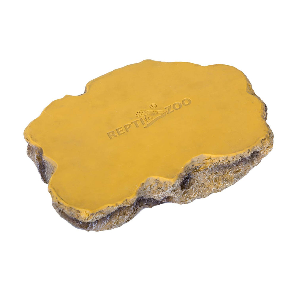 Surface lisse du bol REPTIZOO, facile à nettoyer après chaque repas.