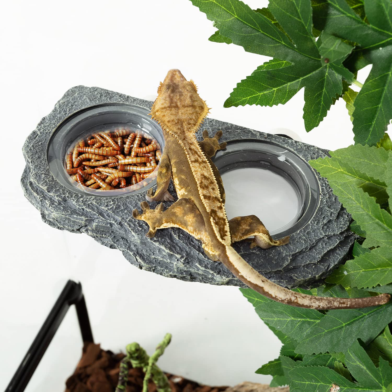 REPTIZOO convient pour gecko à crête, lézard et caméléon