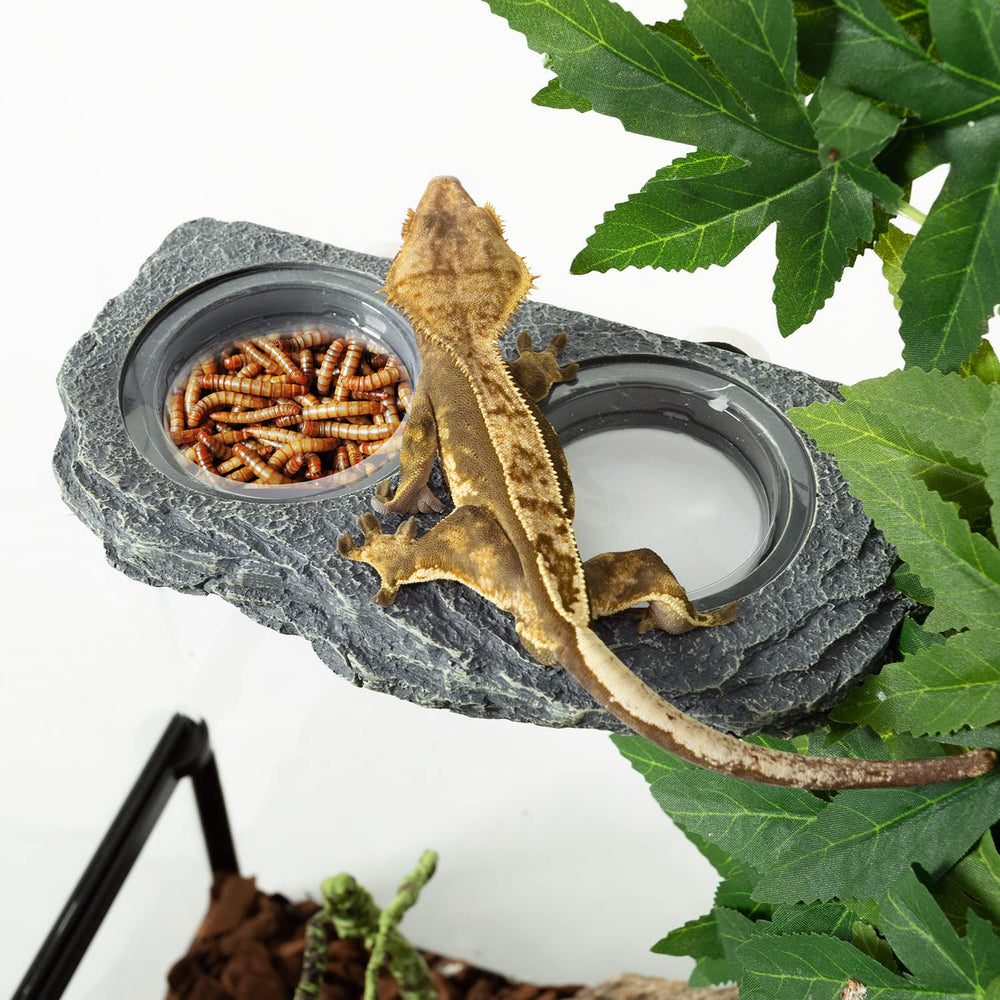 REPTIZOO convient pour gecko à crête, lézard et caméléon