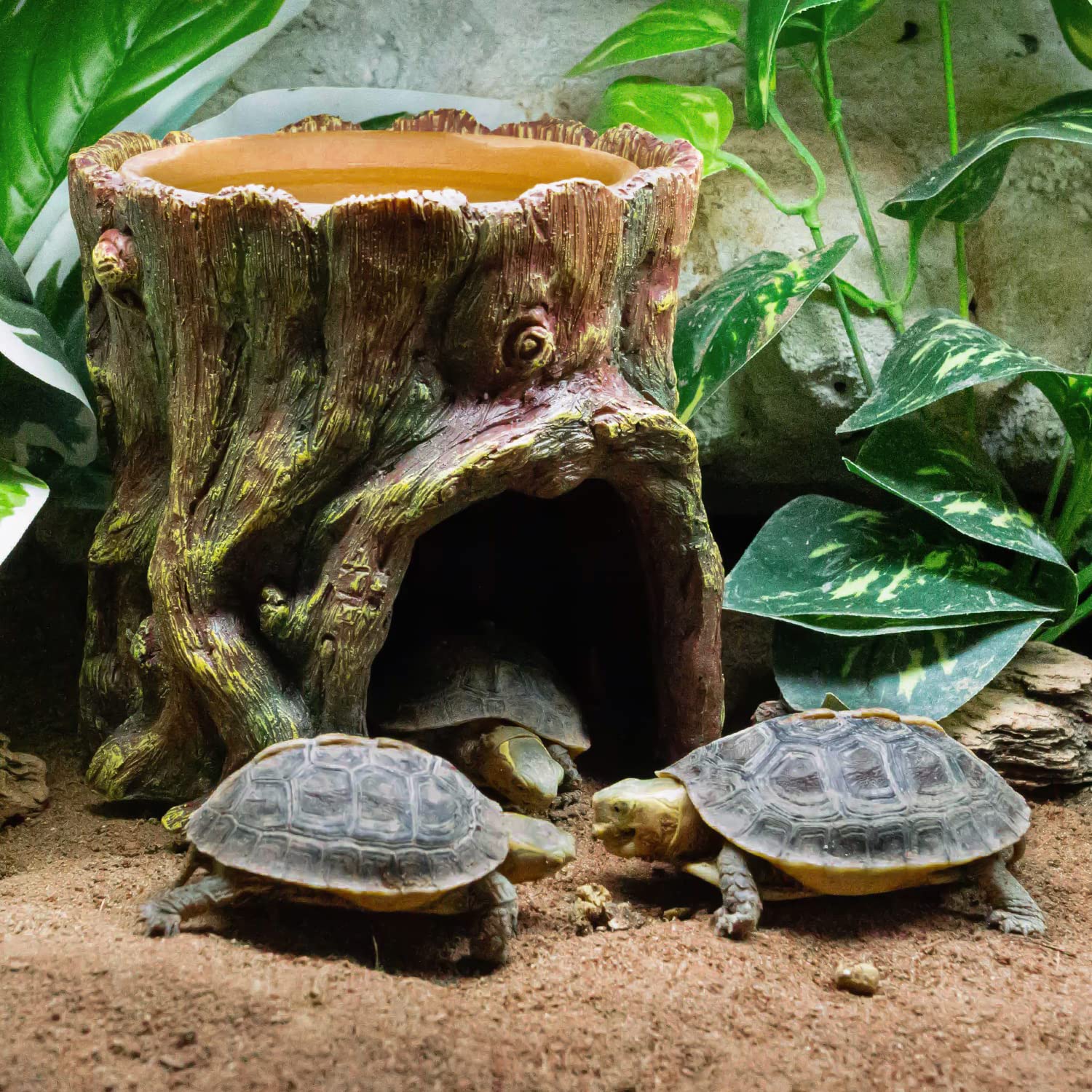 REPTIZOO-decor-terarium-naturel: offre un espace repos sûr.