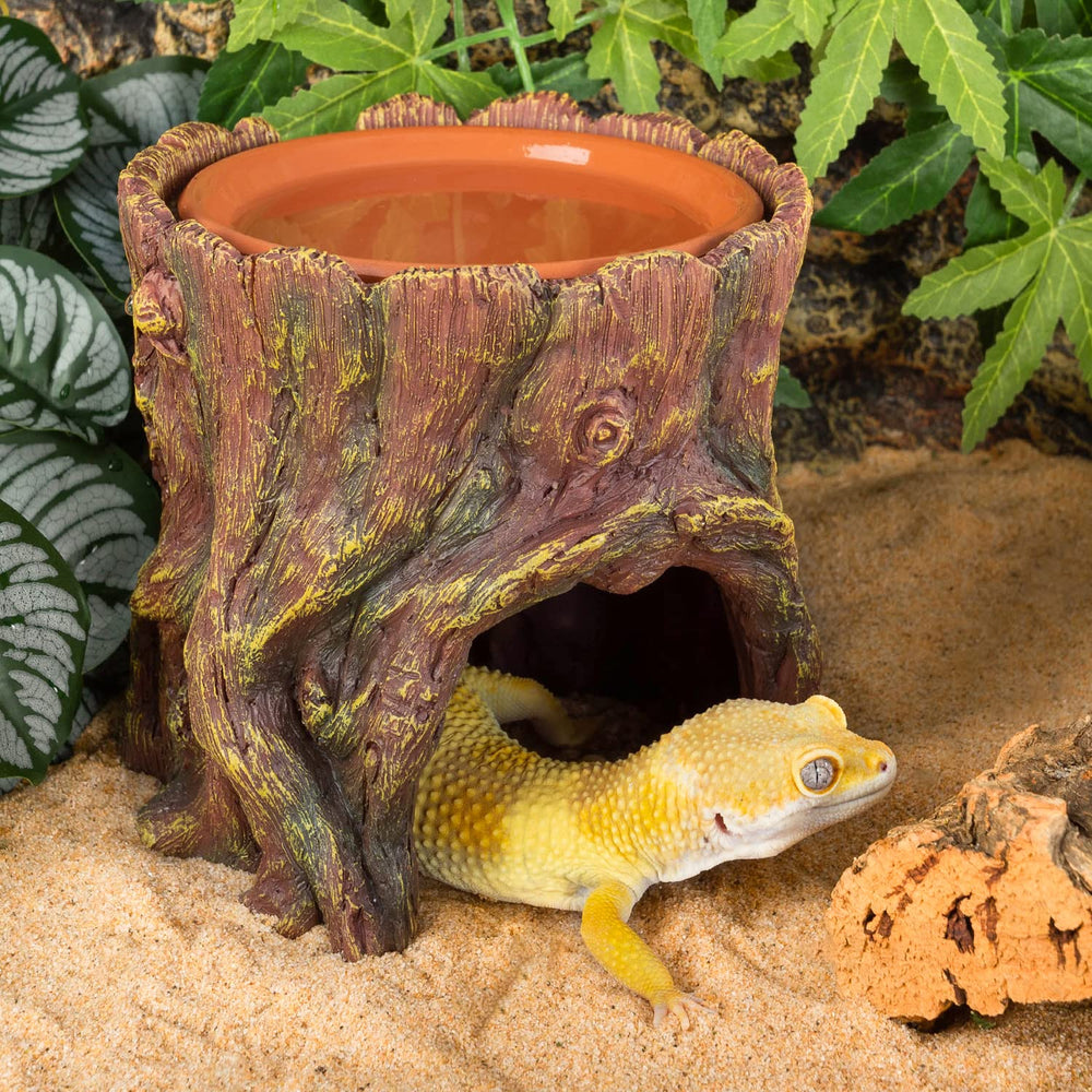 REPTIZOO-dessin-naturel-tronc-arbre: ambiance terrarium plus naturelle.