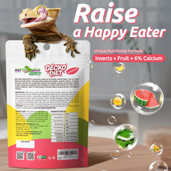 REPTIZOO FRIENDLY Gecko Food mélange fruits banane et apricot, stimulant l'appétit des geckos.