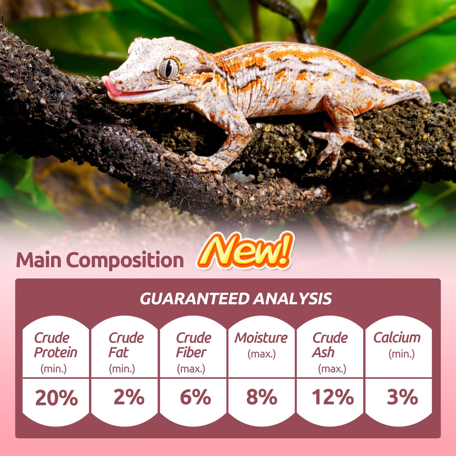 REPTIZOO FRIENDLY Gecko Food portion de 56 g, pratique pour les repas quotidiens.