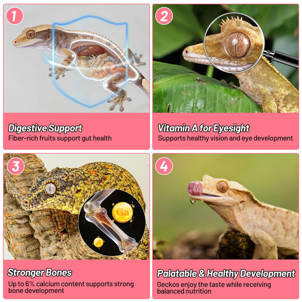REPTIZOO FRIENDLY Gecko Food protéines-insectes, apport nutritionnel appréciable pour les geckos.