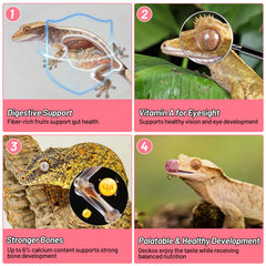 REPTIZOO FRIENDLY Gecko Food protéines-insectes, apport nutritionnel appréciable pour les geckos.