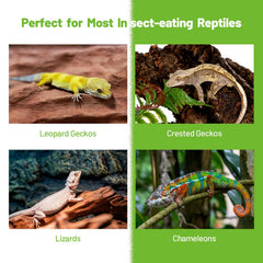 REPTIZOO FRIENDLY texture-lisse purée pour gecko-crested, prise alimentaire facilitée.