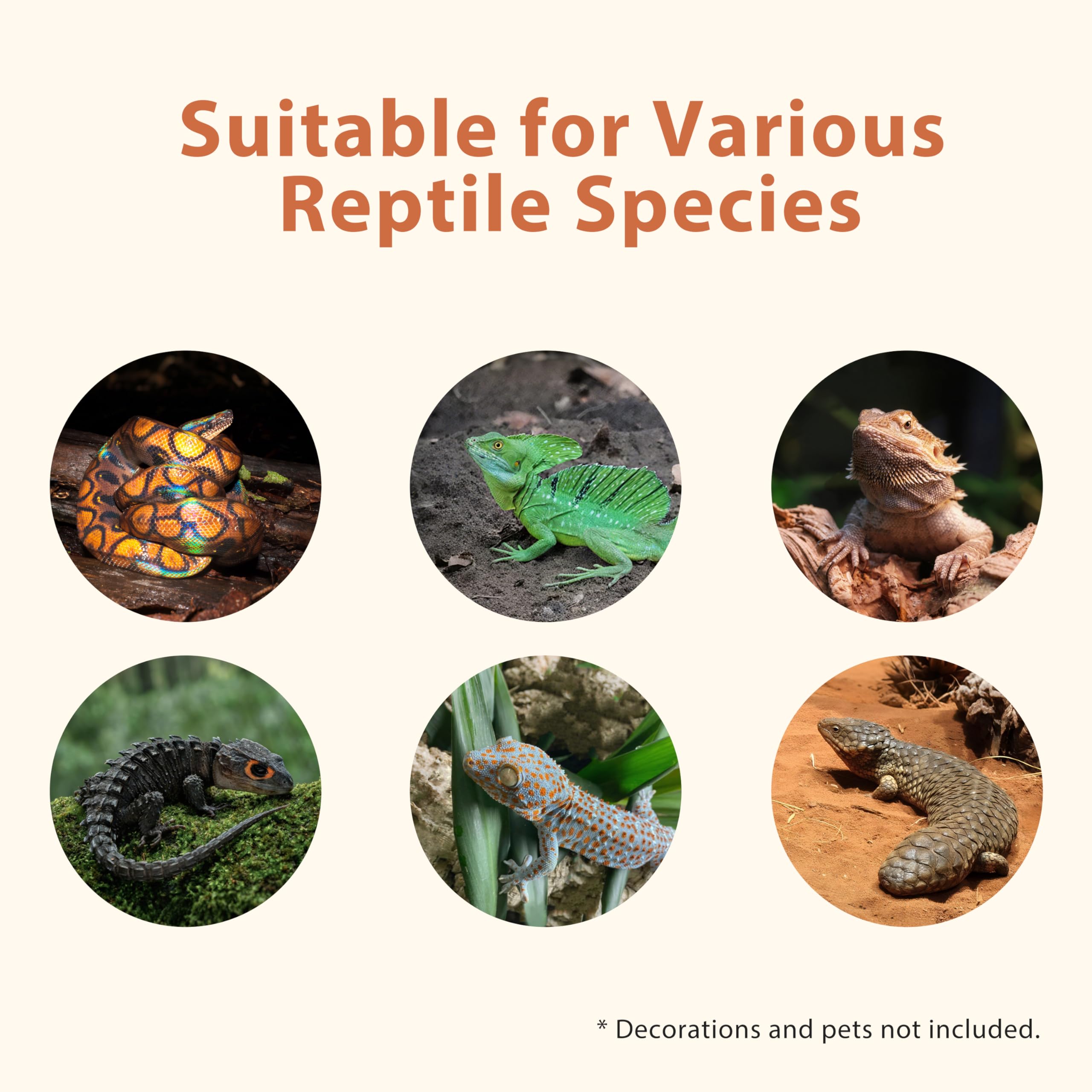 REPWILD Enclos PVC 75 L tailles variées pour reptiles et espaces