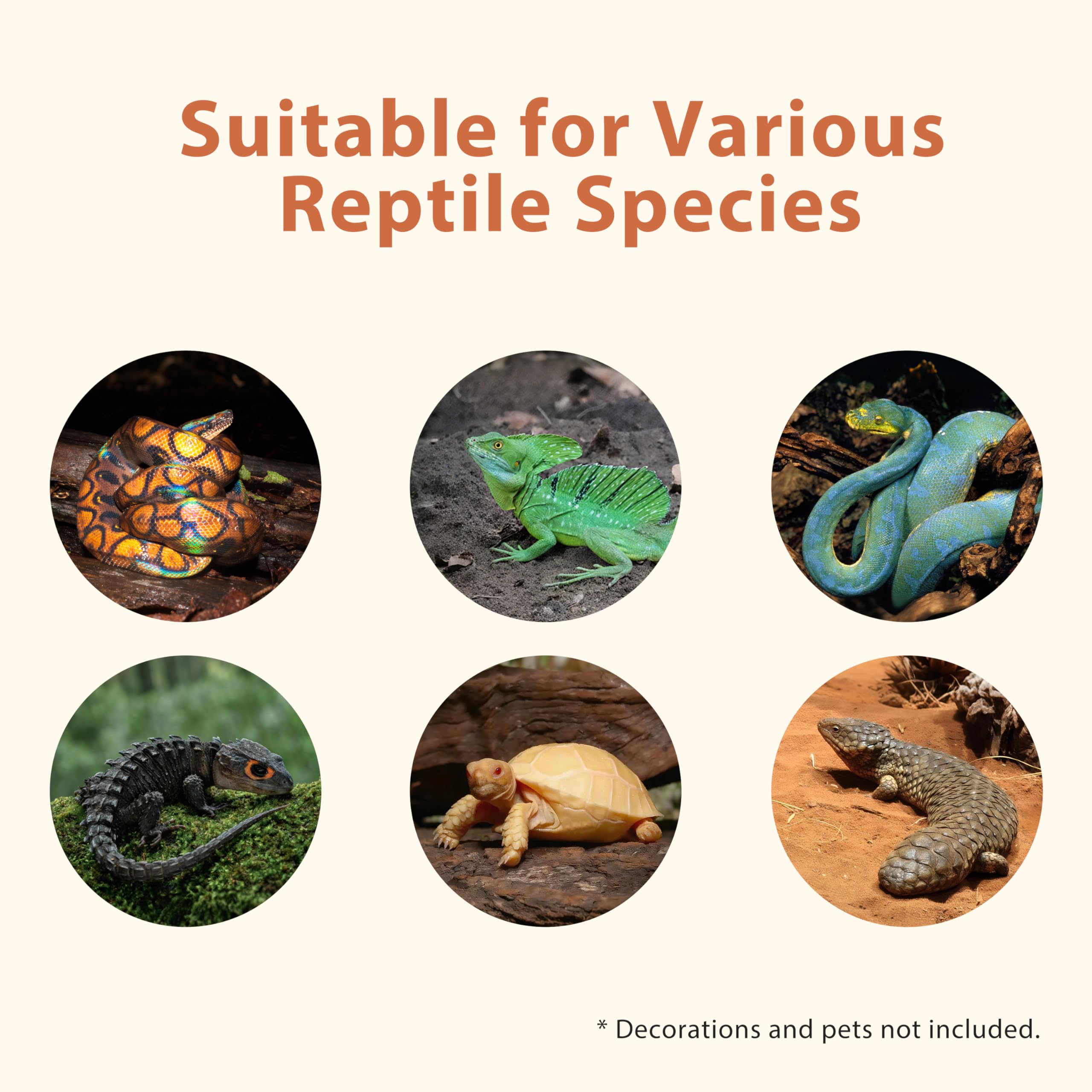 REPWILD Tailles variées disponibles pour adapter le terrarium à l’espace.