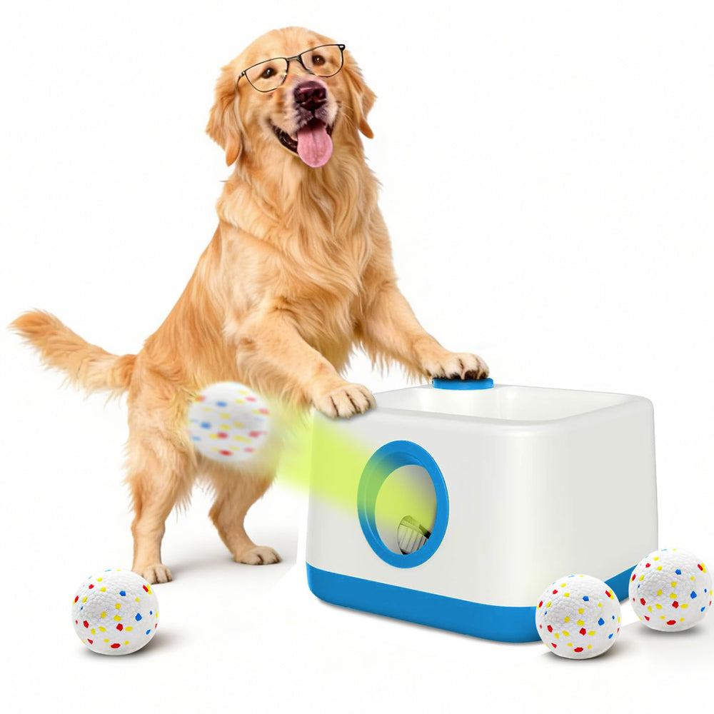 RERBIO lanceur-ballon en mousse en action pour chien.