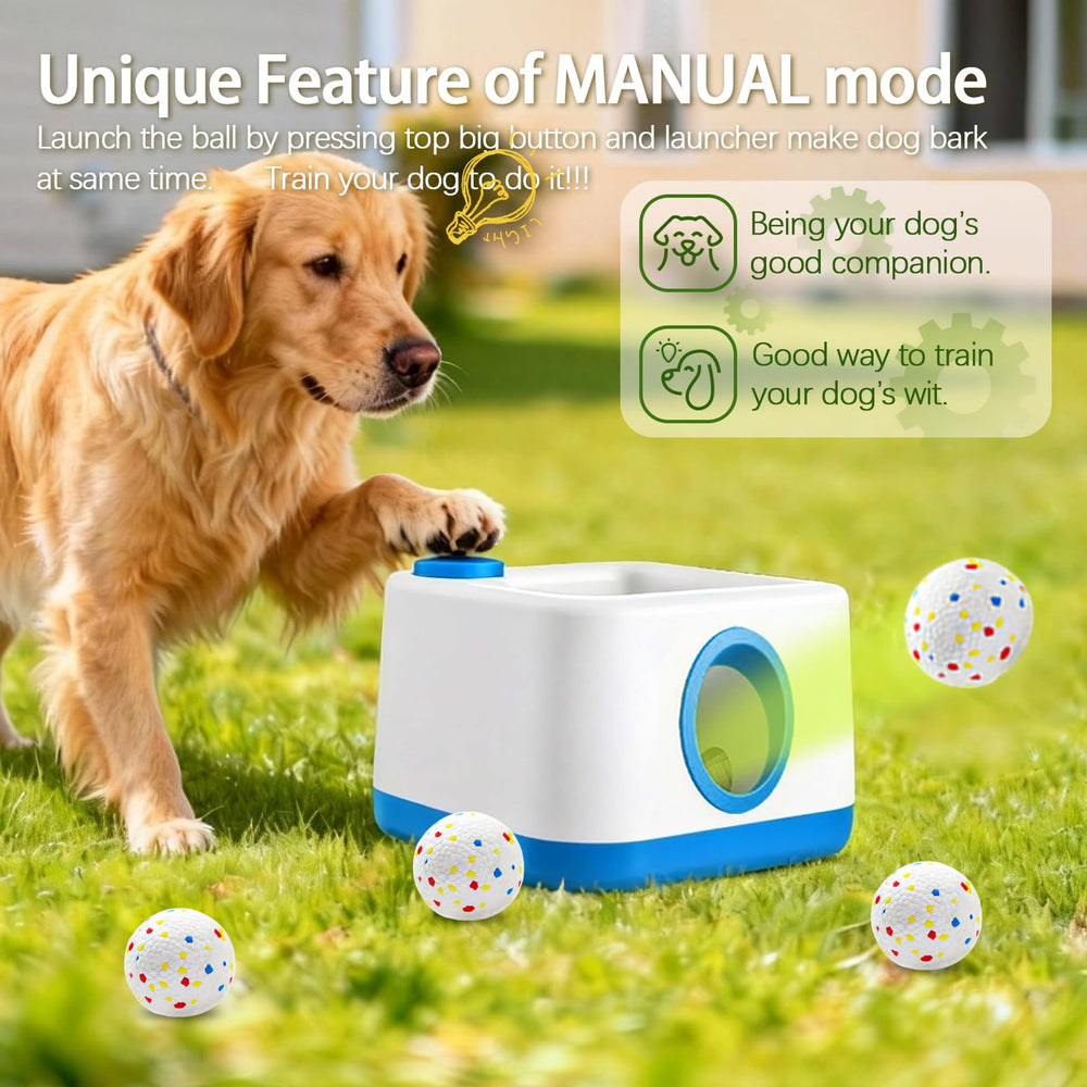 RERBIO mode patte activation pour chien, interaction autonome.