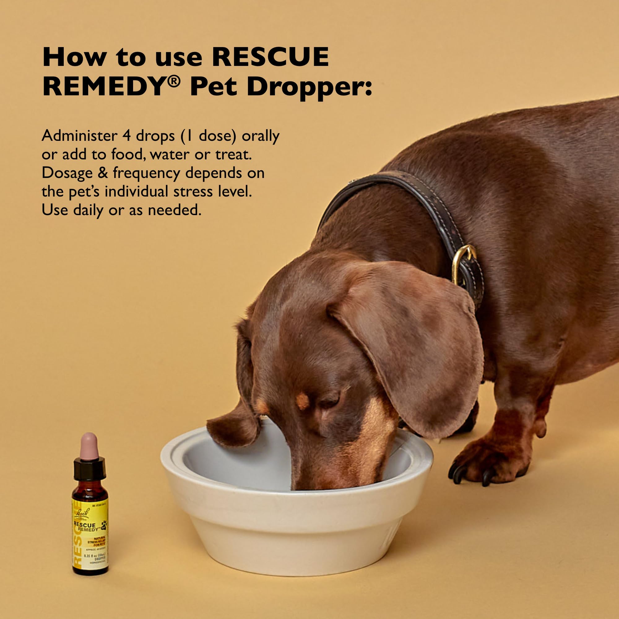 RESCUE Rescue Remedy Pet Dropper: Pipette appliquée avant visite vétérinaire pour chiens et chats apaisés.