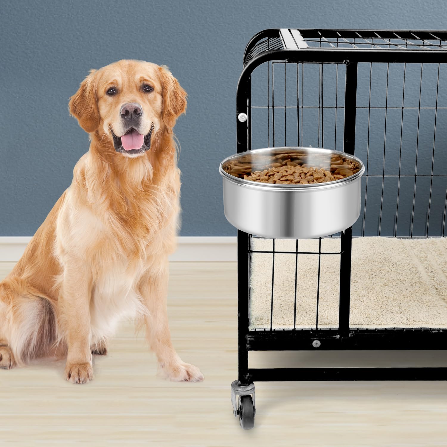 Bol Reshiho pour alimentation et eau des chiens, chats et petits animaux