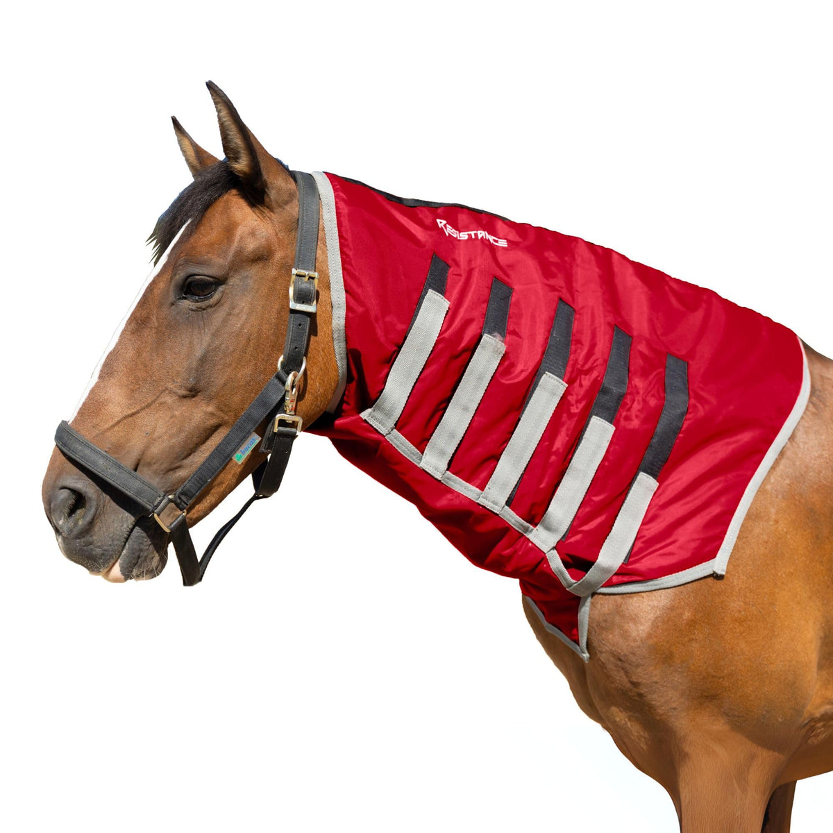Resistance Sleazy cou sans tête, couverture du cou imperméable pour cheval.