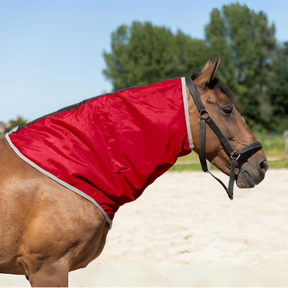 Le design Sleazy reste en place toute la nuit sans glisser du cou du cheval.