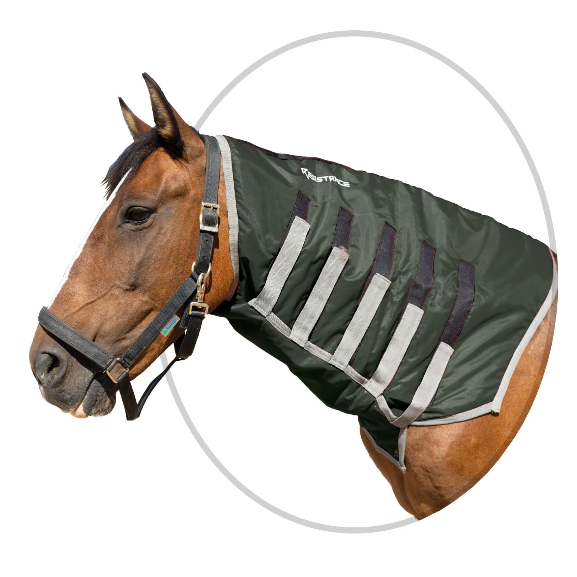 RESISTANCE Sleazy cou fermeture velcro reglable pour un ajustement securise du cheval