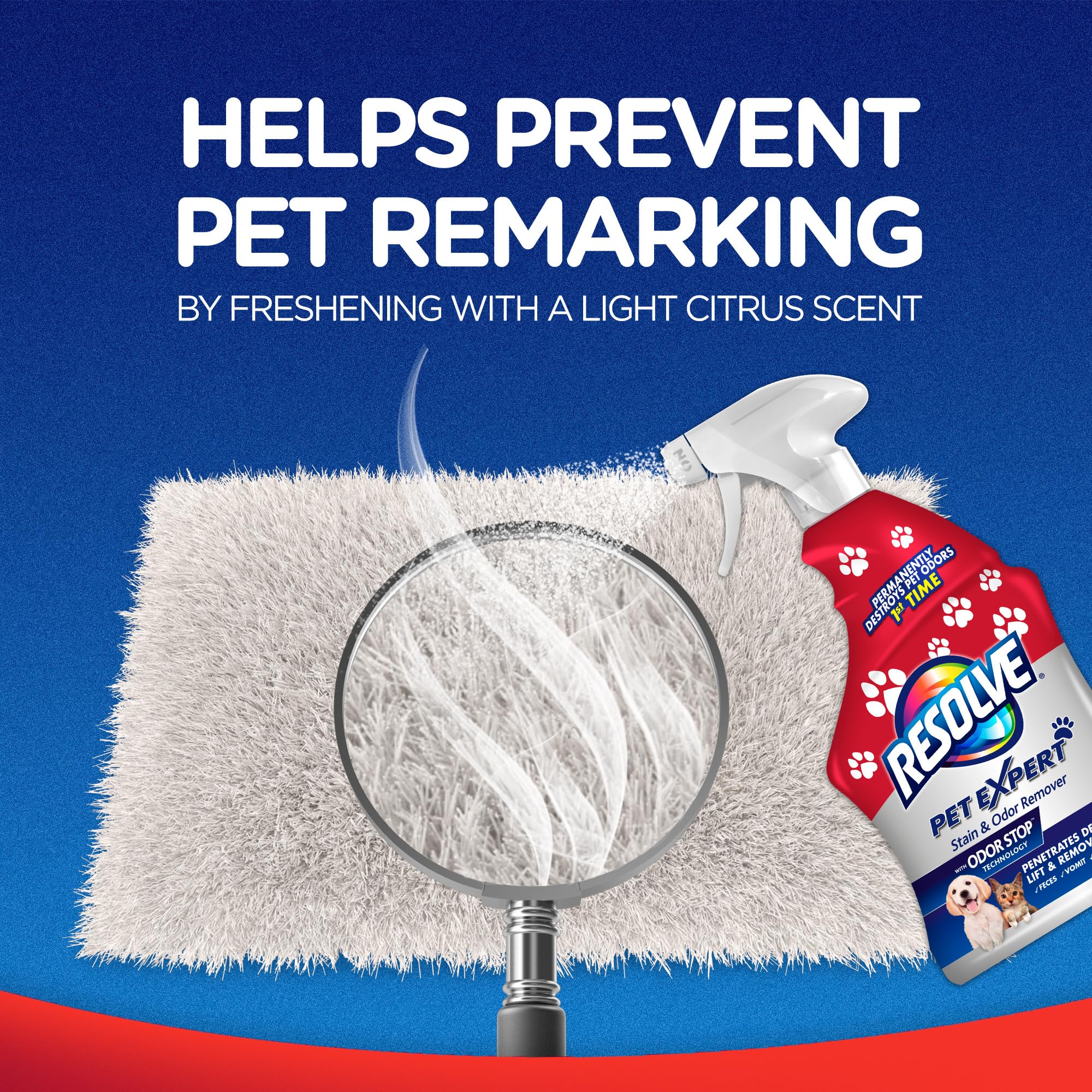 Resolve Pet Expert avant-apres-tapis-tissu: transformation visuelle après nettoyage.