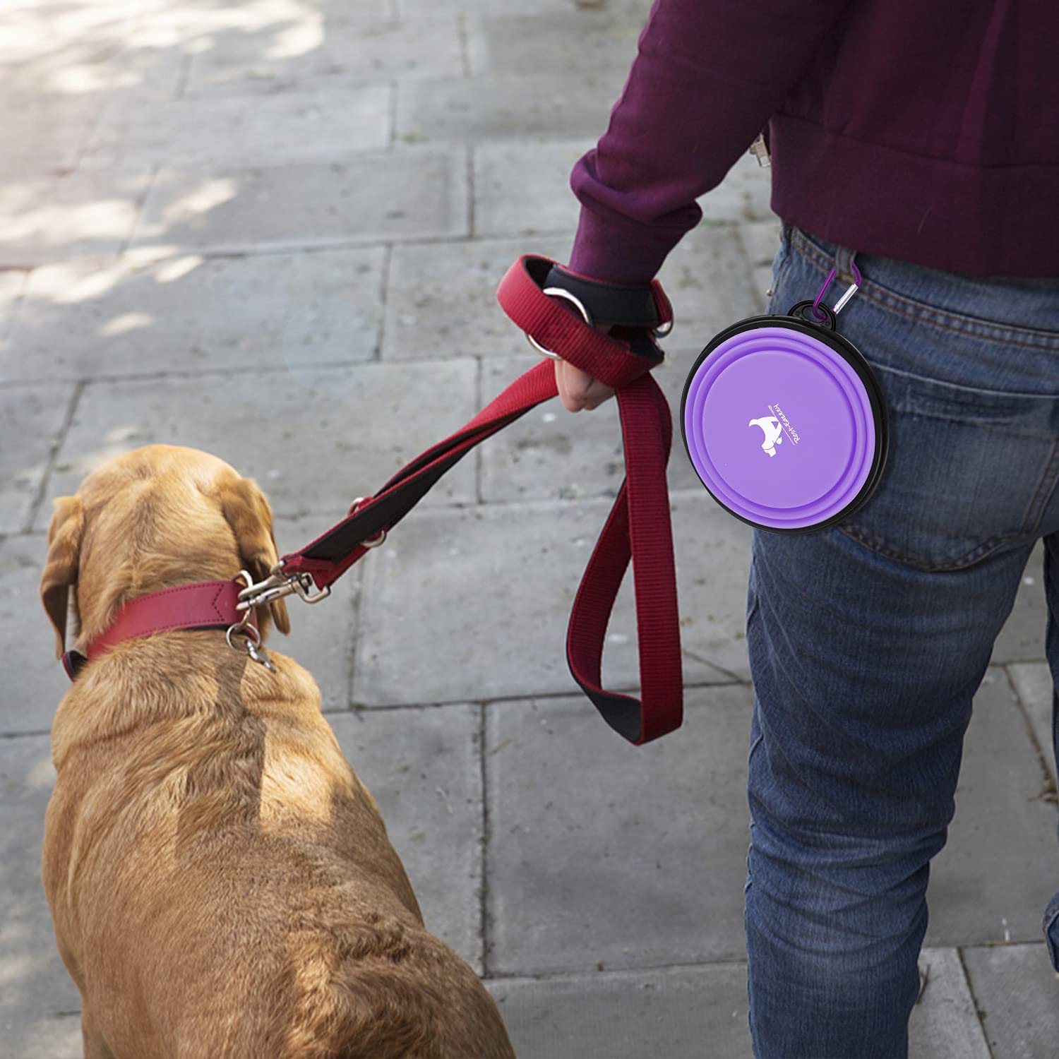 Bol pliable Rest-Eazzzy, idéal pour camping et promenades quotidiennes