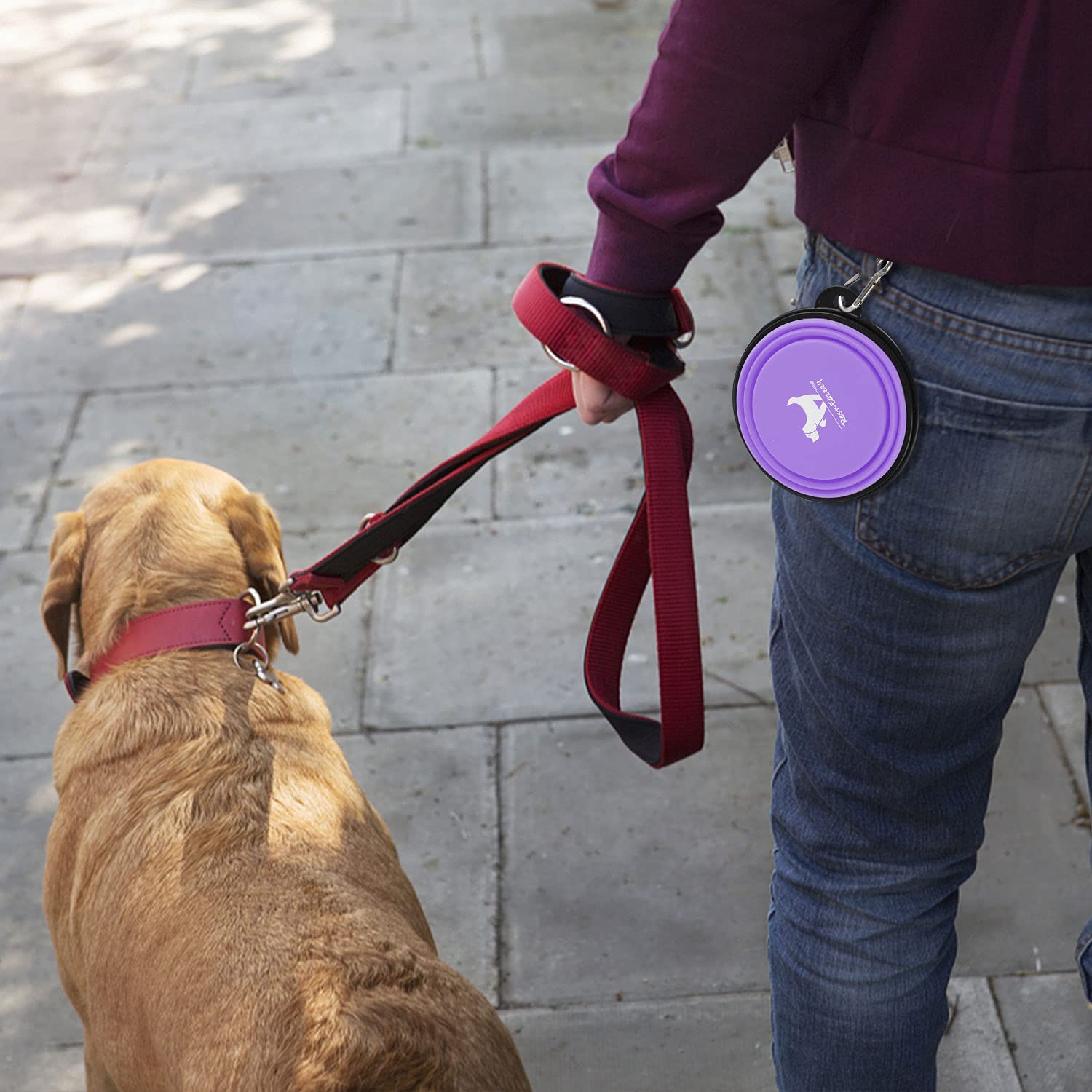 Rest-Eazzzy bol pliable transport compact pour chien et chat.