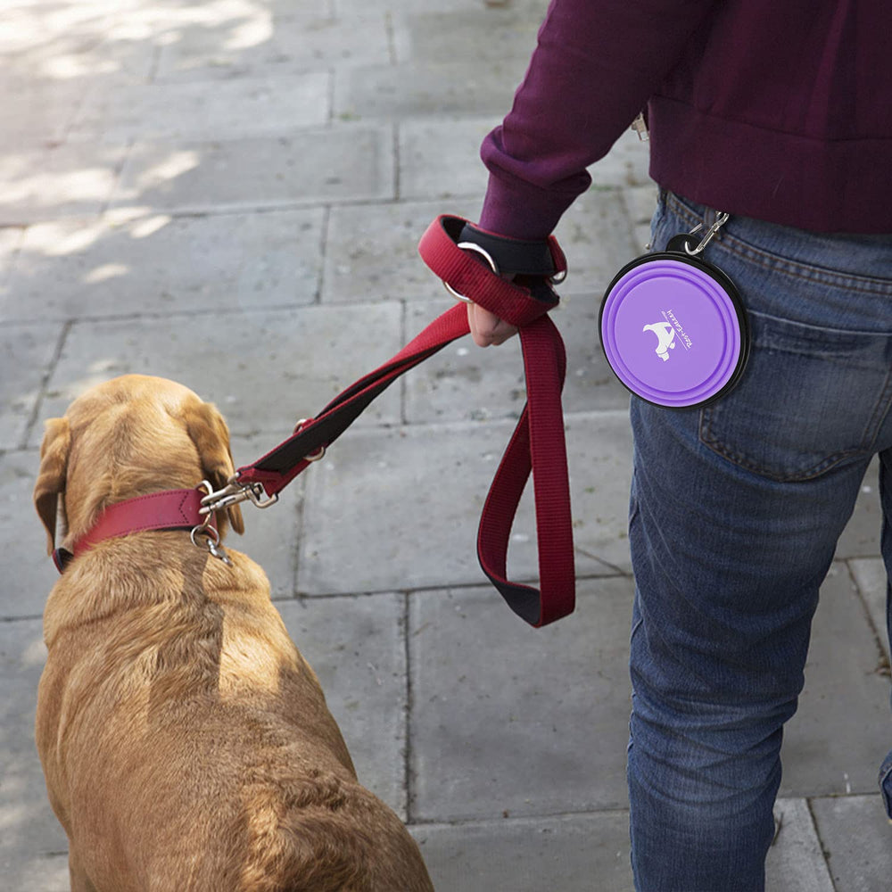 Rest-Eazzzy bol pliable transport compact pour chien et chat.