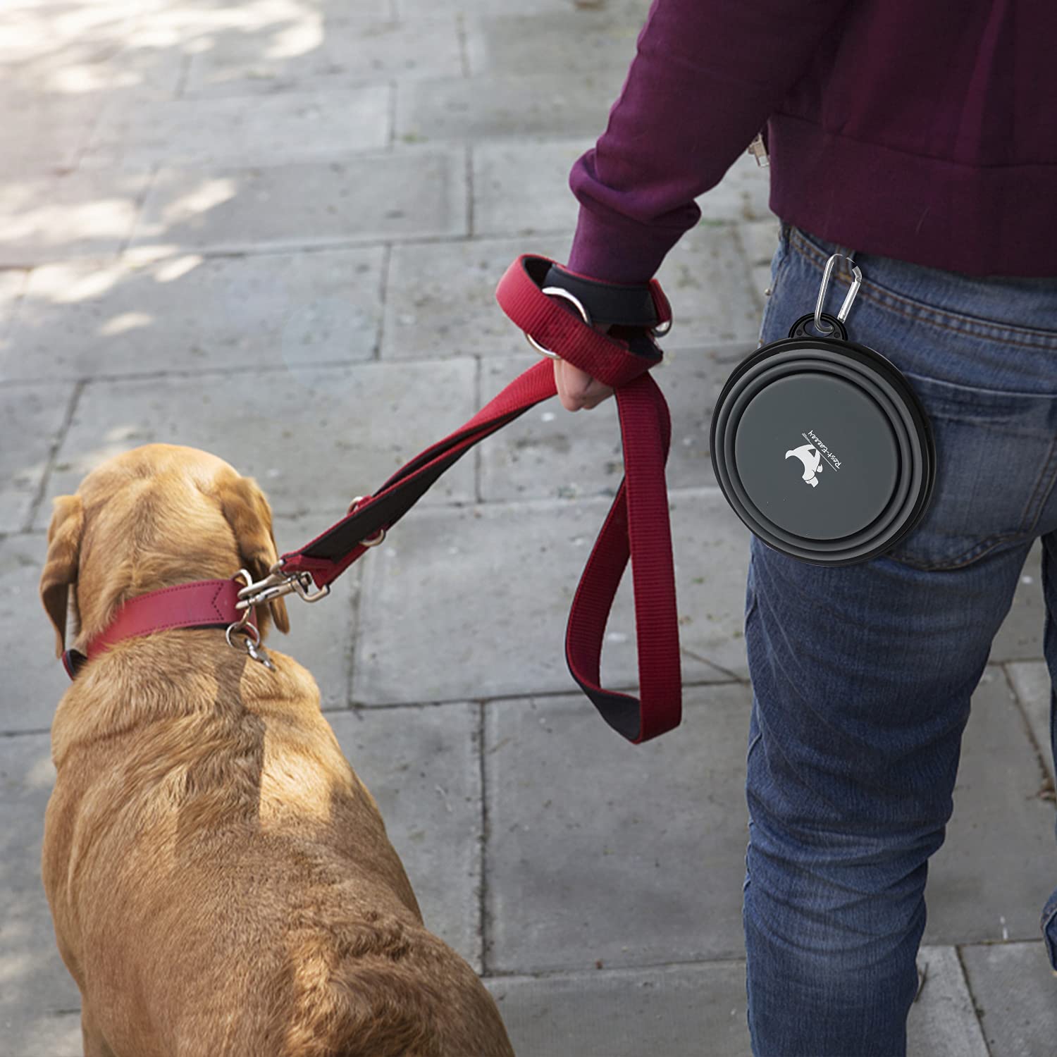 Utilisation Rest-Eazzzy pour chiens et chats lors de voyages