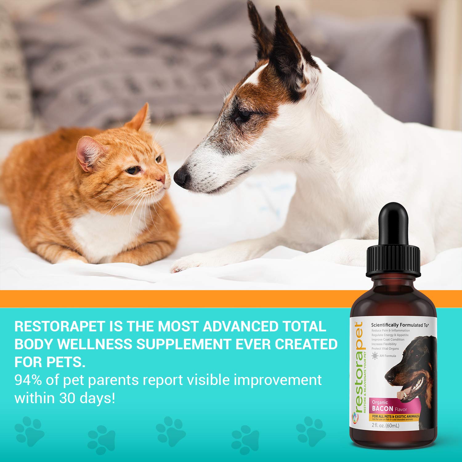 RestoraPet approbation veterinaire – produit sûr et fiable pour animaux.