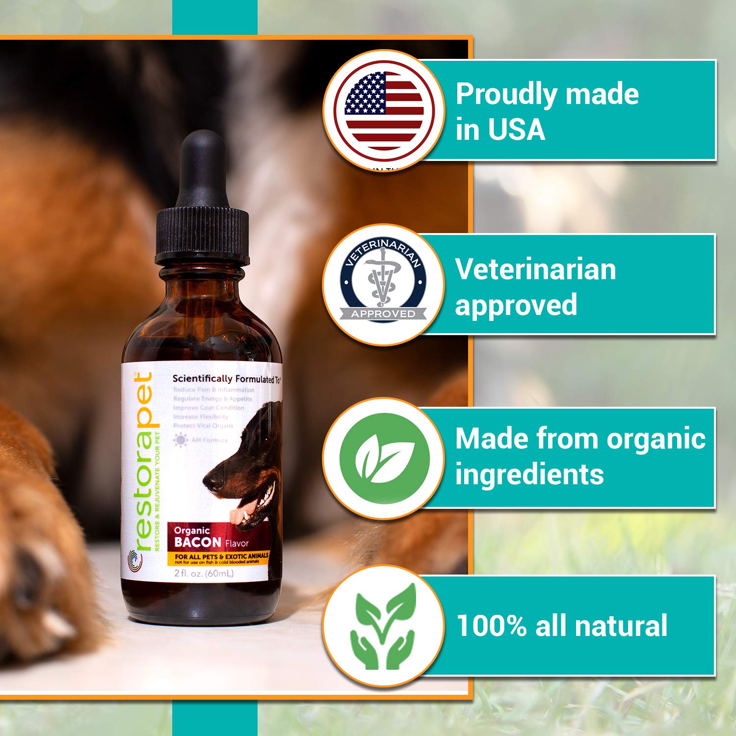 RestoraPet composition nutrition boeuf – ingrédients naturels et sans OGM.