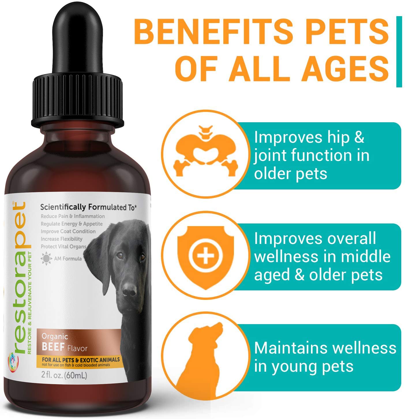 RestoraPet deux bouteilles boeuf – facilité d'utilisation et dosage quotidien.