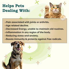 RestoraPet PM Formula: ingrédients clés comme curcuma et CoQ10 pour le confort potentiel.