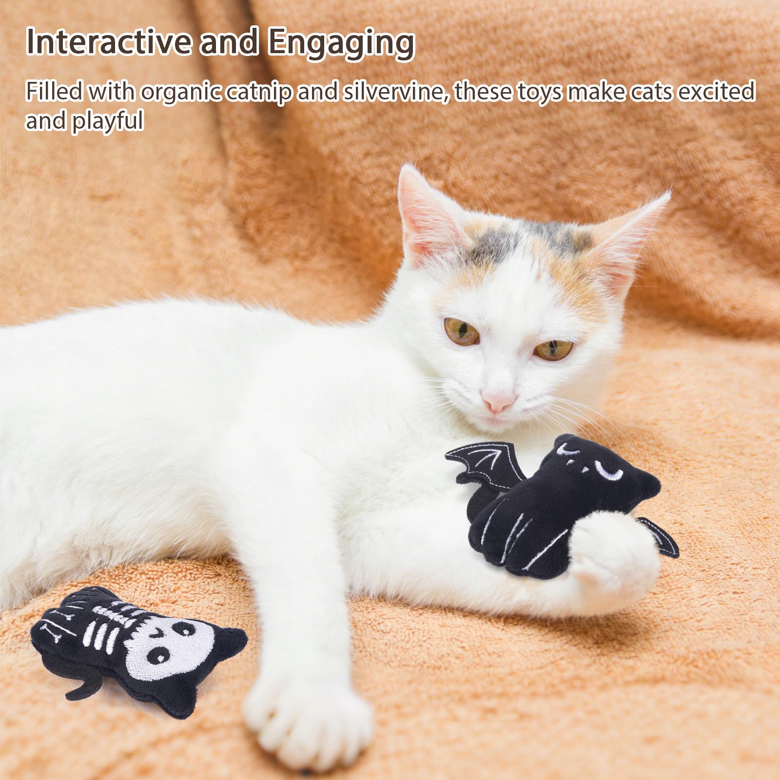 Retro Shaw – idée cadeau pour chats joueurs et moments de complicité