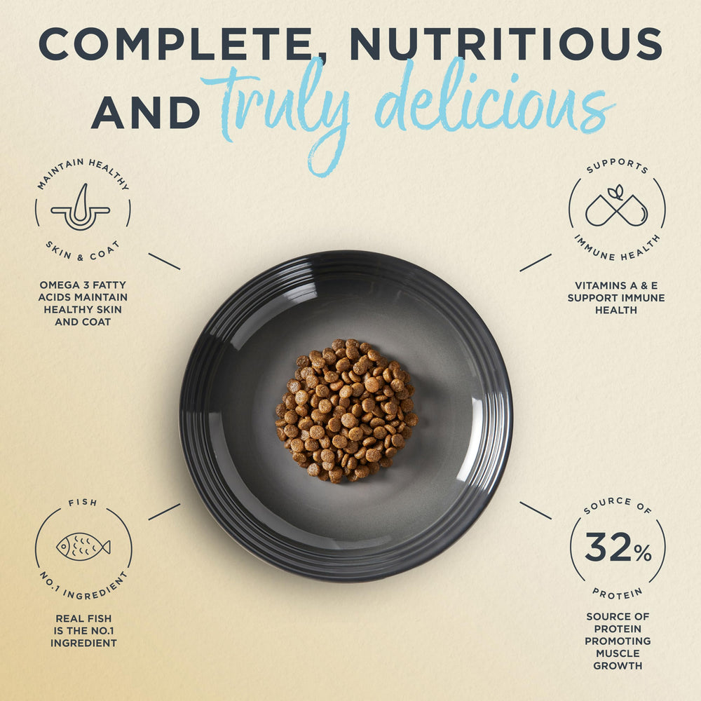 Ingrédients naturels Reveal pour chat, sans artificiels.