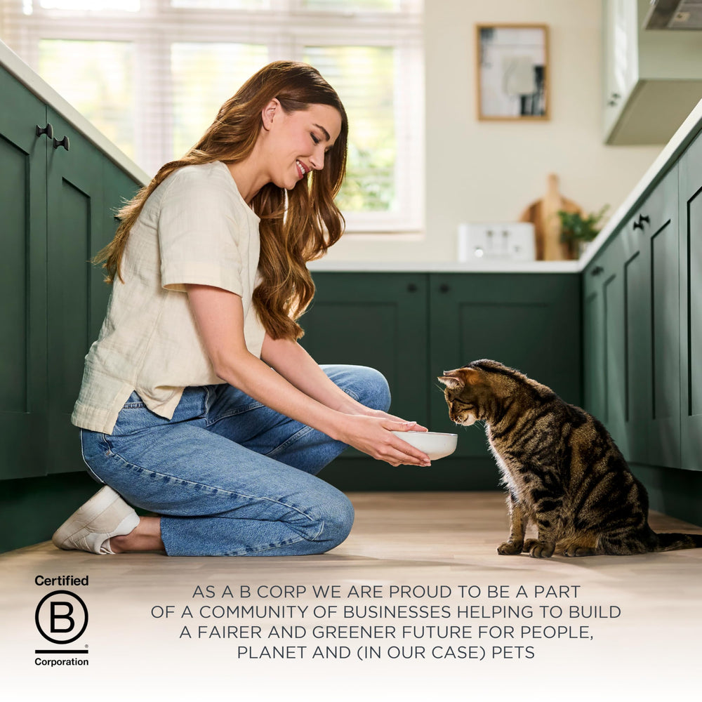 Sac Reveal de 7 livres, format pratique pour l’alimentation quotidienne du chat.