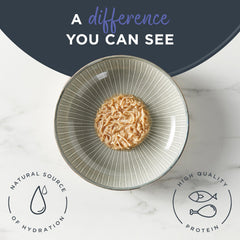 Reveal sans additifs artificiels pour une alimentation naturelle et simple