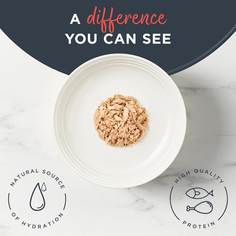 Reveal chat sans cereales: recette naturelle et facilement digestible.