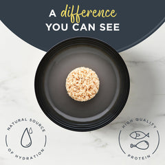 Reveal chaton sans cereales poulet en bouillon, texture naturelle.