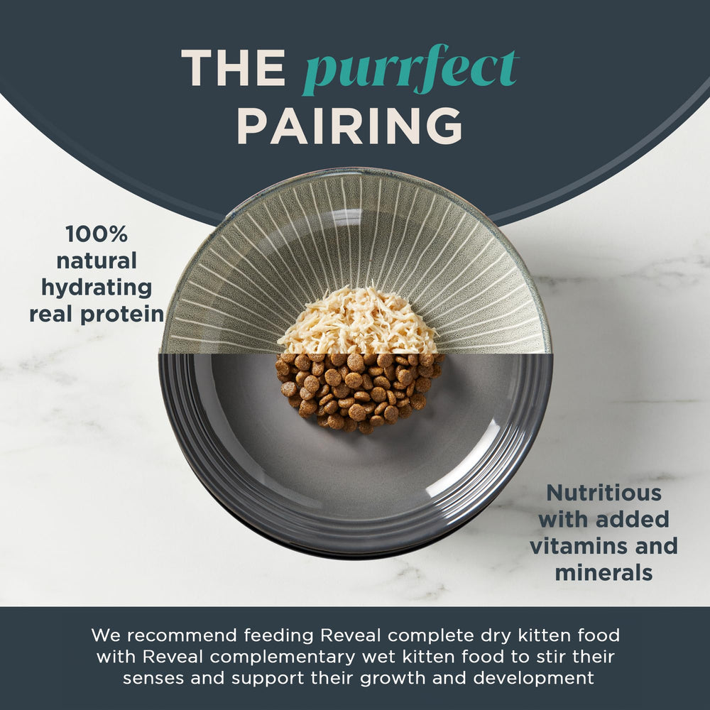 Reveal Chaton ingrédients de qualité sans additifs artificiels