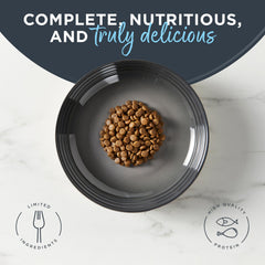 Reveal croquettes chat : bol prêt à servir pour un repas savoureux et équilibré.