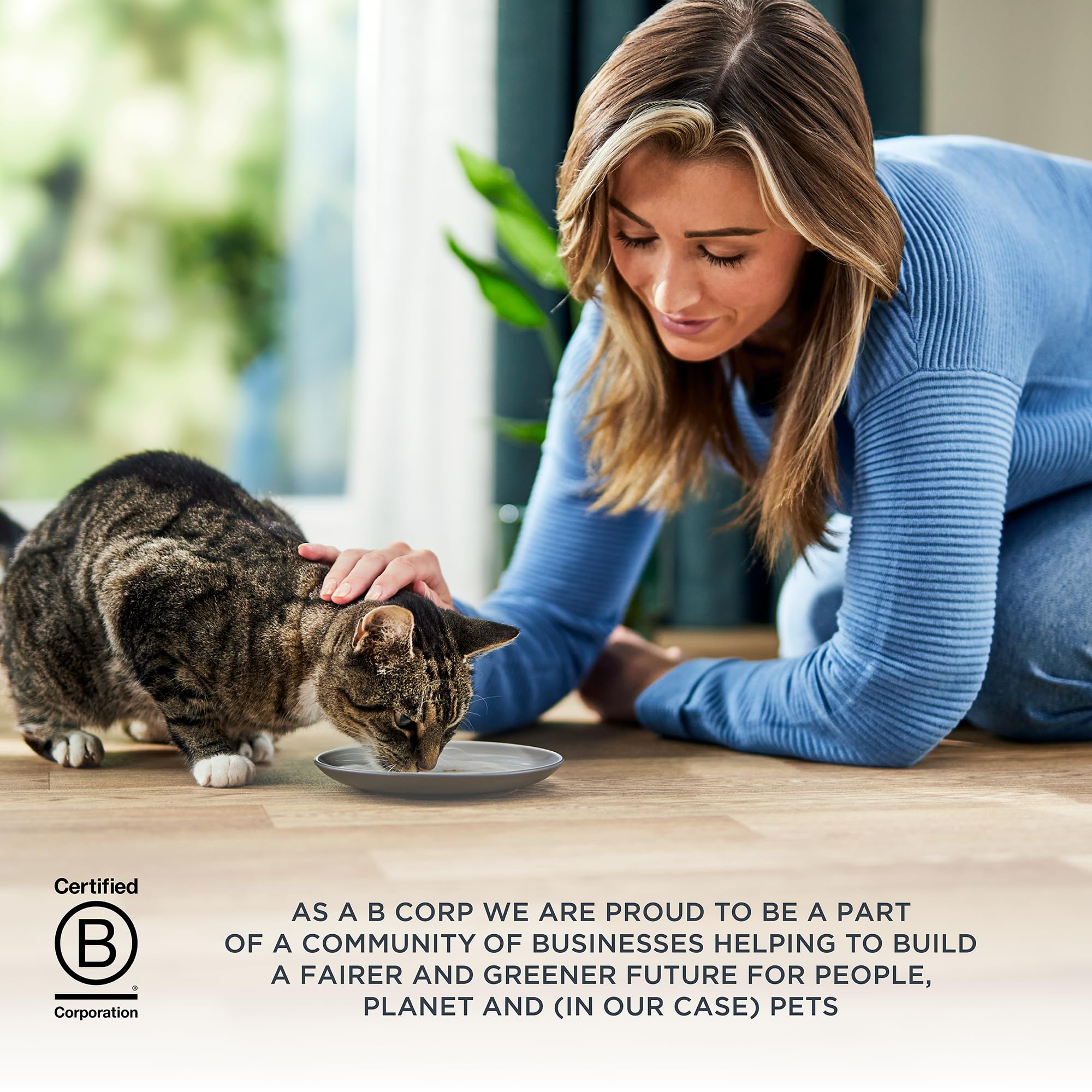 Reveal Entrees B Corp : engagement éthique et transparence.