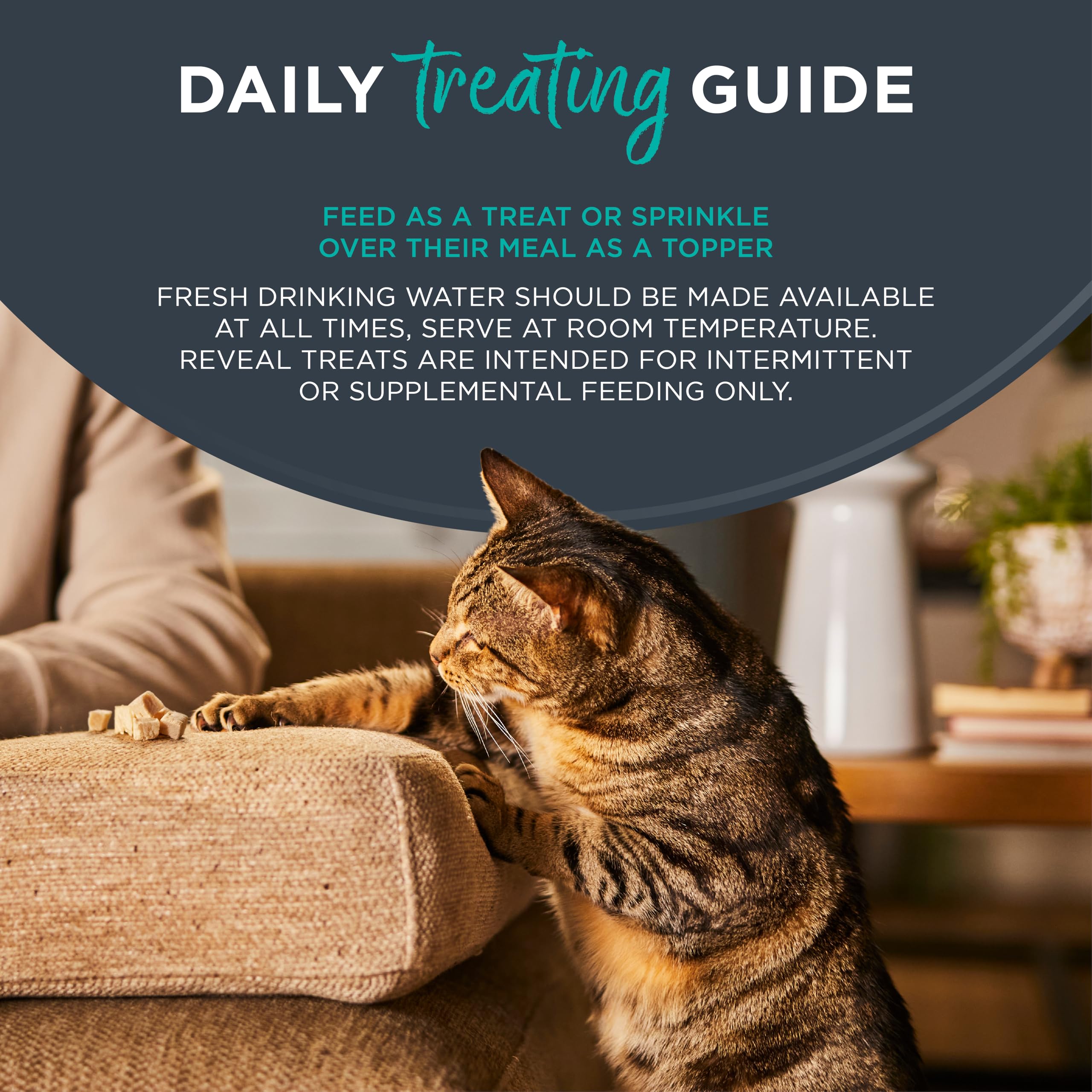 Reveal protéine réelle, vrai saumon pour l appétit du chat