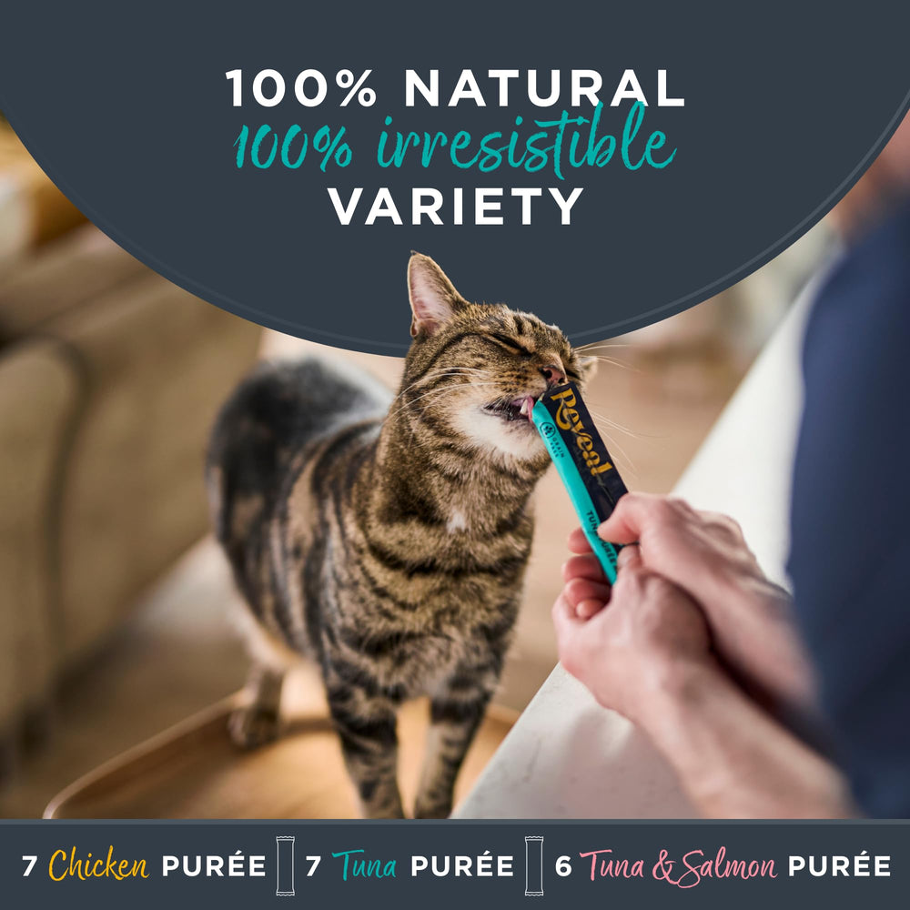 Reveal purée crèmeuse sans céréales, ingrédients simples pour chats gourmets.