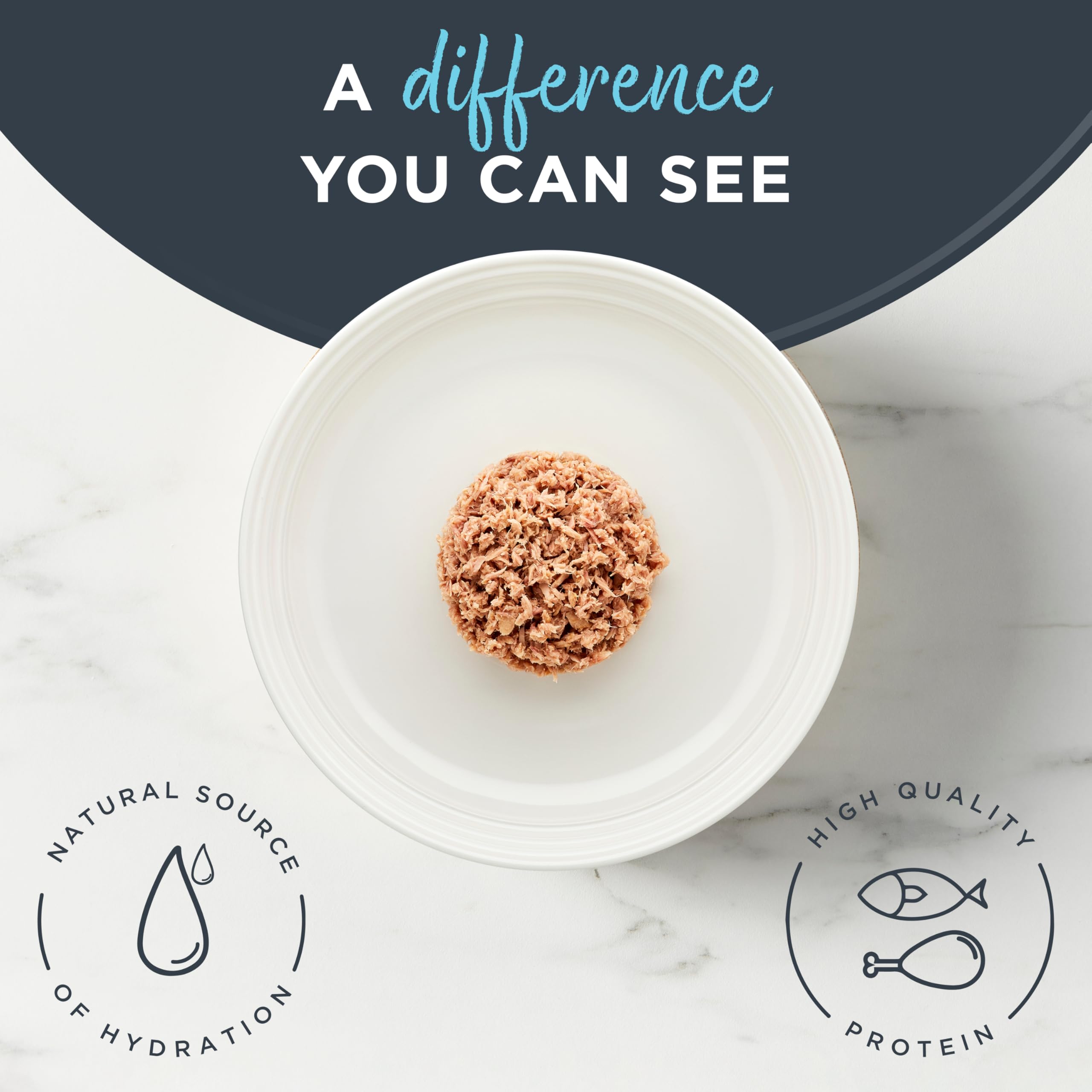 Reveal texture effilée chaton dans bouillon pour petite bouche.