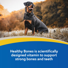 Doc Roy’s Healthy Bones: complément pour chiots et chatons soutenant les os et dents