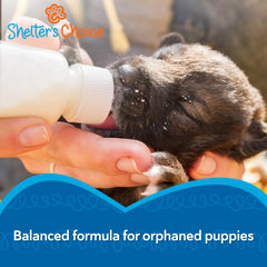 Shelter's Choice poudre lait chiots dissolution rapide pour biberon