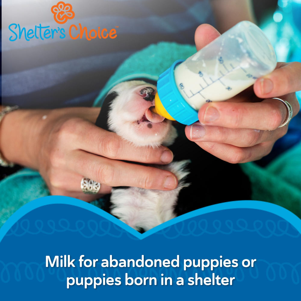 Shelter's Choice soutien digestion chiots développement intestinal sain