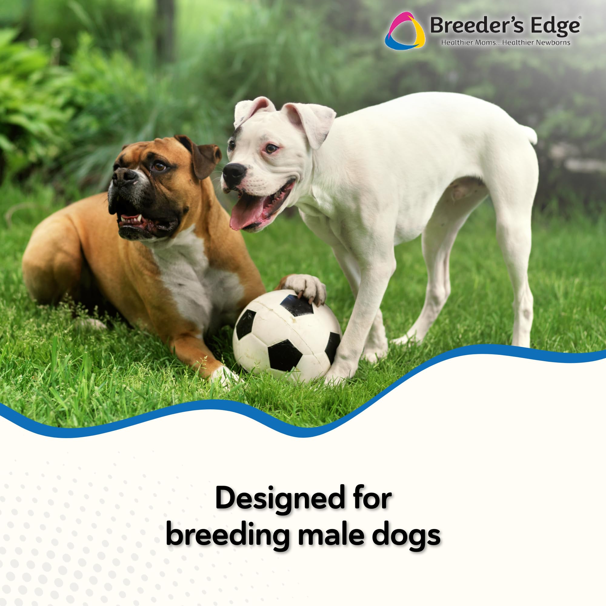 Revival Breeder Edge Between 23 vitamines et minéraux : soutien nutritionnel varié.