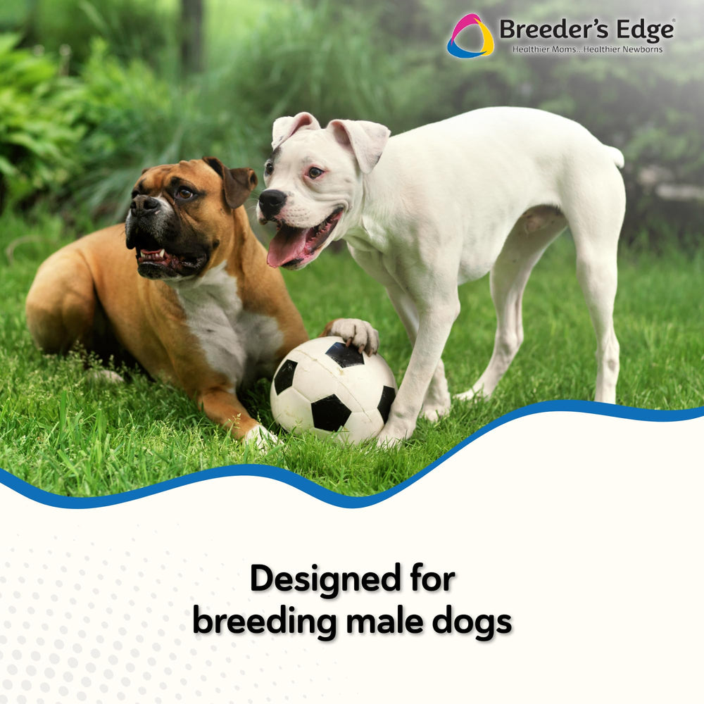 Revival Breeder Edge Between 23 vitamines et minéraux : soutien nutritionnel varié.