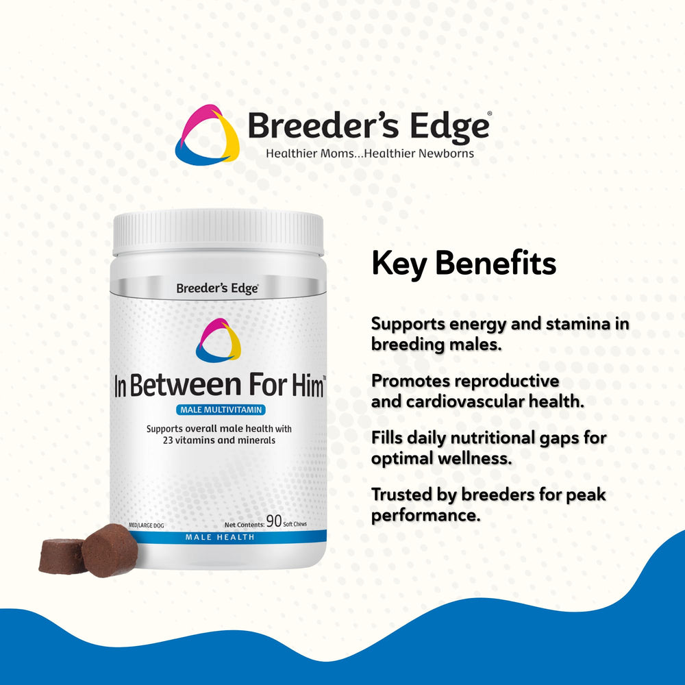 Revival Breeder Edge Between gelules : formulation complète de vitamines et minéraux.