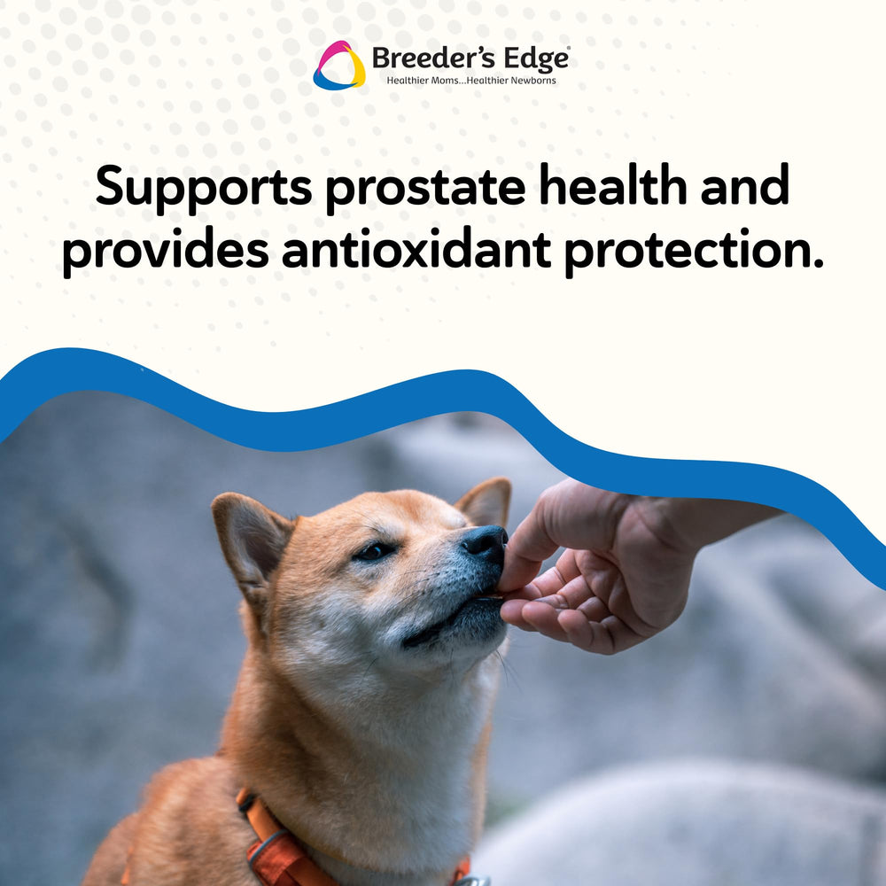 Revival Breeder Edge Between vitamine E : soutien potentiel et antioxydant.