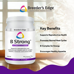Texture poudre fine de Revival Breeder’s Edge B Strong idéale pour nourrir