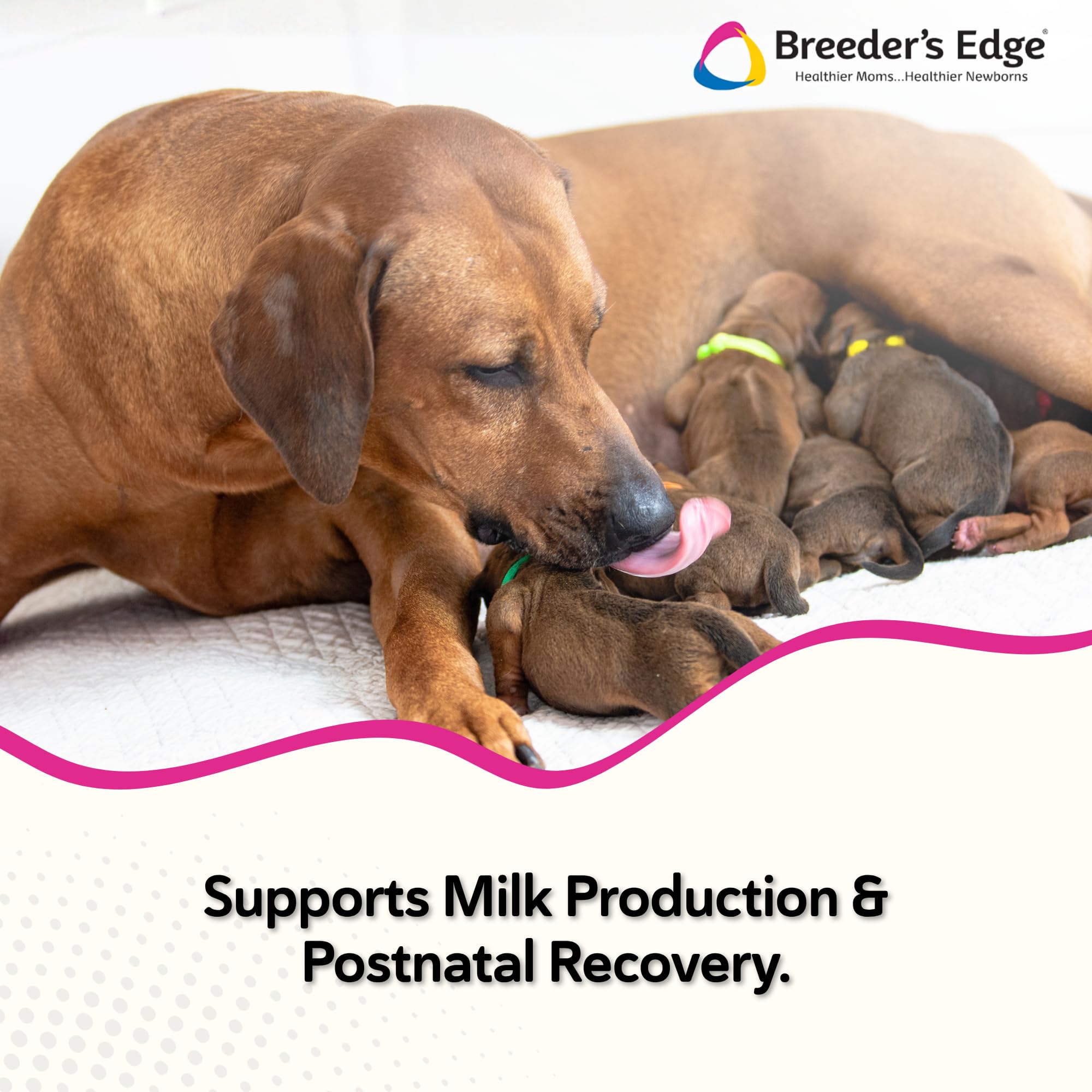 Base lait de chèvre hautement digestible pour les animaux.